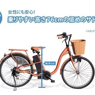 カギ有：配送・引き取りOK　展示品①　訳有　Santasan　電動アシスト自転車　207　ブラウンの画像