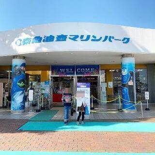 油壺マリンパークに…