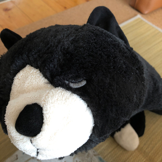 【決まりました】ねむねむ ぬいぐるみの画像