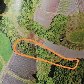 【土地販売　価格相談】①斜面地（３０００㎡）：杉を含む立木あり、...