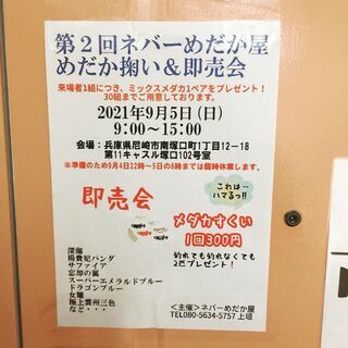 第2回ネバーめだか屋[メダカすくい&即売会]「無人古着屋MN塚口店」