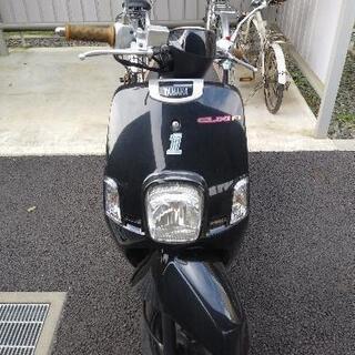 cuxiの画像