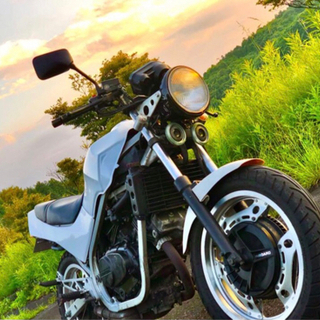 Vt250z (mc08)