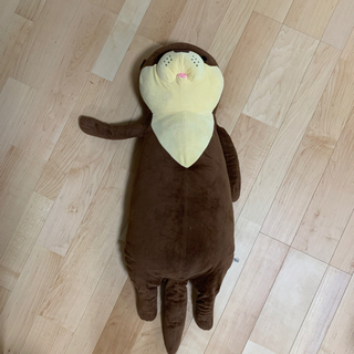 カワウソ君😎