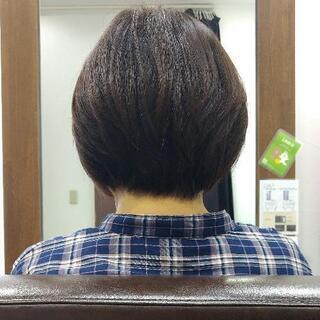 カットモデル