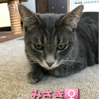 仲良しの2人です(T ^ T)の画像
