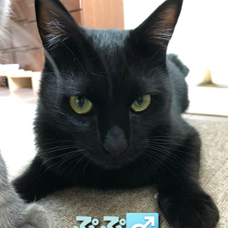 仲良しの2人です(T ^ T) - 帯広市