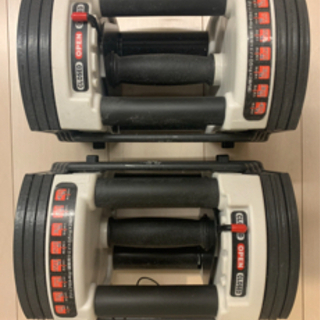 ベンチ台＋可変式ダンベル＋マットの画像