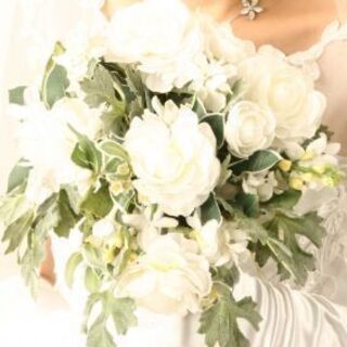 真剣に婚活をされている 20～40代シングル女性の方を募集 してます。