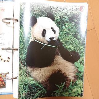 【値下！！】動物図鑑の画像