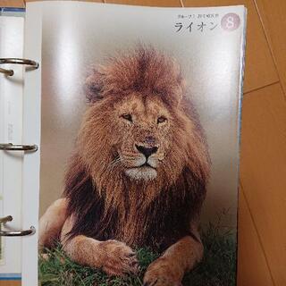 【値下！！】動物図鑑の画像