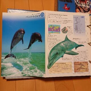 【値下！！】動物図鑑の画像