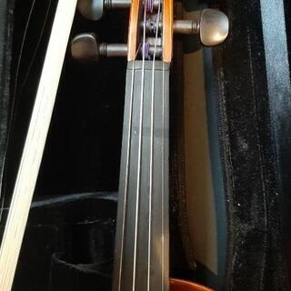 EastmanStringsバイオリンの画像