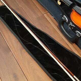 EastmanStringsバイオリンの画像