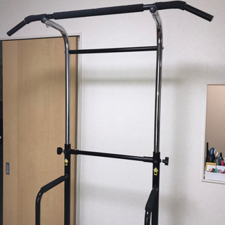 アルインコ(ALINCO) 懸垂マシン 頑丈肉厚メタルパイプ仕様...