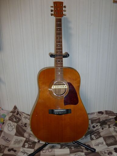 Ibanez/アイバニーズギター・L.R.BAGGS M-1 Active アコギ用アクティブピックアップ付き