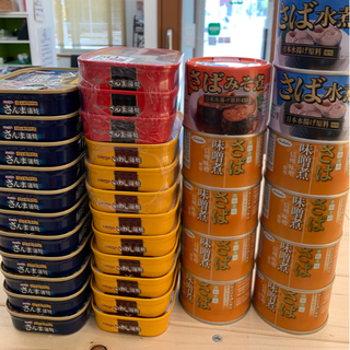 交渉中　缶詰詰合　さんま　いわし　さば　計34缶