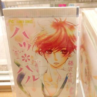 ハツ＊ハル「１～１３」全巻