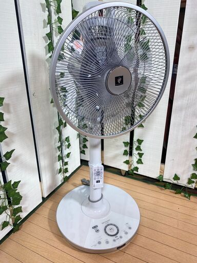 【愛品館八千代店】SHARP2013年製リモコン式プラズマクラスター搭載リビング扇風機PJ-C3DG【愛八DS】