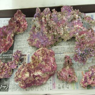 ライブロック、デスロック7.4ｋｇ