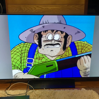 訳あり☆【直接引取送料無料】55インチ液晶テレビ　LG OLED...