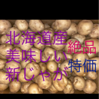 【数量限定】北海道産 新じゃが じゃがいも 男爵 Sサイズ 約1...