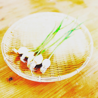 《Wワーク♦主婦さん歓迎》にんにくの皮剥き及び袋詰め作業