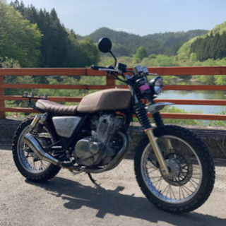 ボルティ250 ウォーキングデッド  ダリル