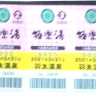 羽生　極楽湯　入湯回数券　5回分