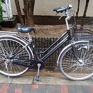 発根済み】パキポディウムグラキリス 良型 緑肌手乗りサイズ