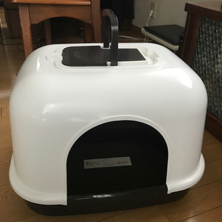 猫　トイレ