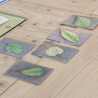 横山大河の色鉛筆講座「パプリカで学ぼう！固有色の表現」の画像