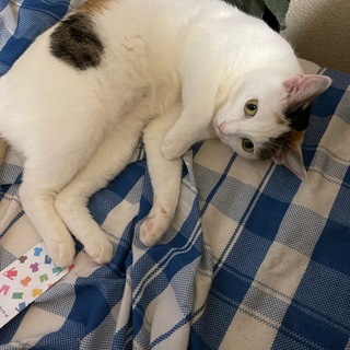 少人数グルです