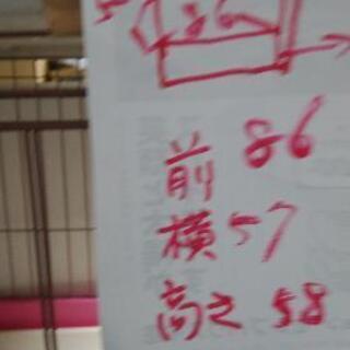 犬舎　いぬのcage