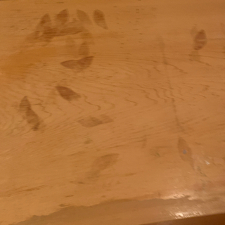 天然木仕様 ローテーブルさしあげます。の画像