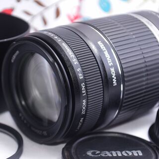 キャノン望遠レンズ★EF-S 55-250mm手ブレ補正つき☆