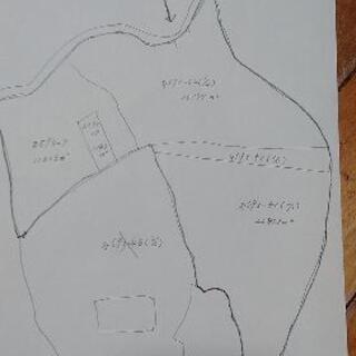 【決まりました】格安で太良町の山林(約5町)売ります。 - 不動産