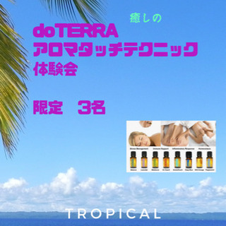 完全プライベート🧏🏻‍♀️アロマタッチ☘️ケア🌹9月限定の🉐情報...