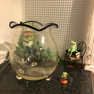 金魚鉢
