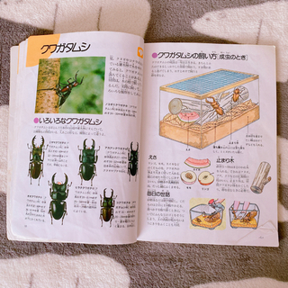 【くらべる図鑑】小学館 (1900円+税) 学研の小図鑑おまけ付きの画像