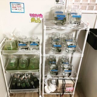 高級メダカが激安！第2回ネバーめだか屋[メダカすくい&即売会]「無人古着屋MN塚口店」 - リサイクルショップ