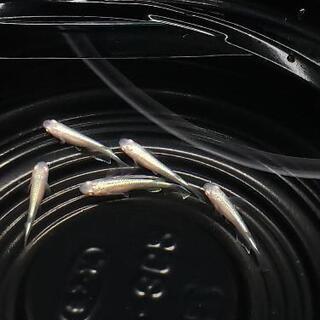 王妃めだかの成魚‼️