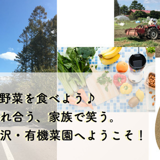 農作業スタッフ募集！（週2〜）