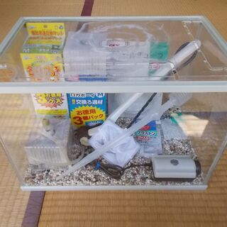 金魚飼育セット