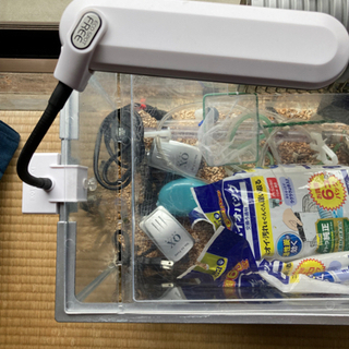 水槽×3、アクアリウムセットの画像