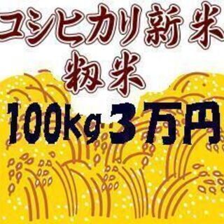 新米コシヒカリ籾米100キロ
