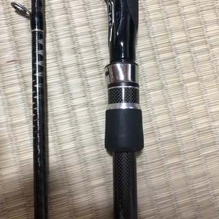 シマノ　ディアルーナS1006M  エクスセンス4000  シーバス