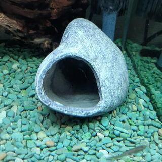 色々な水槽用隠れ家、流木など。