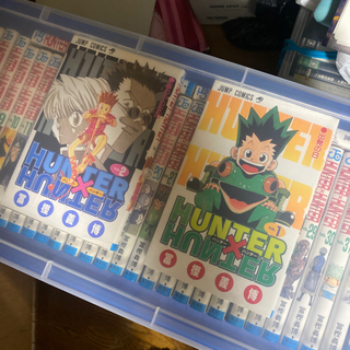 HUNTER×HUNTER