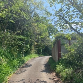 お散歩の会です！ − 千葉県
